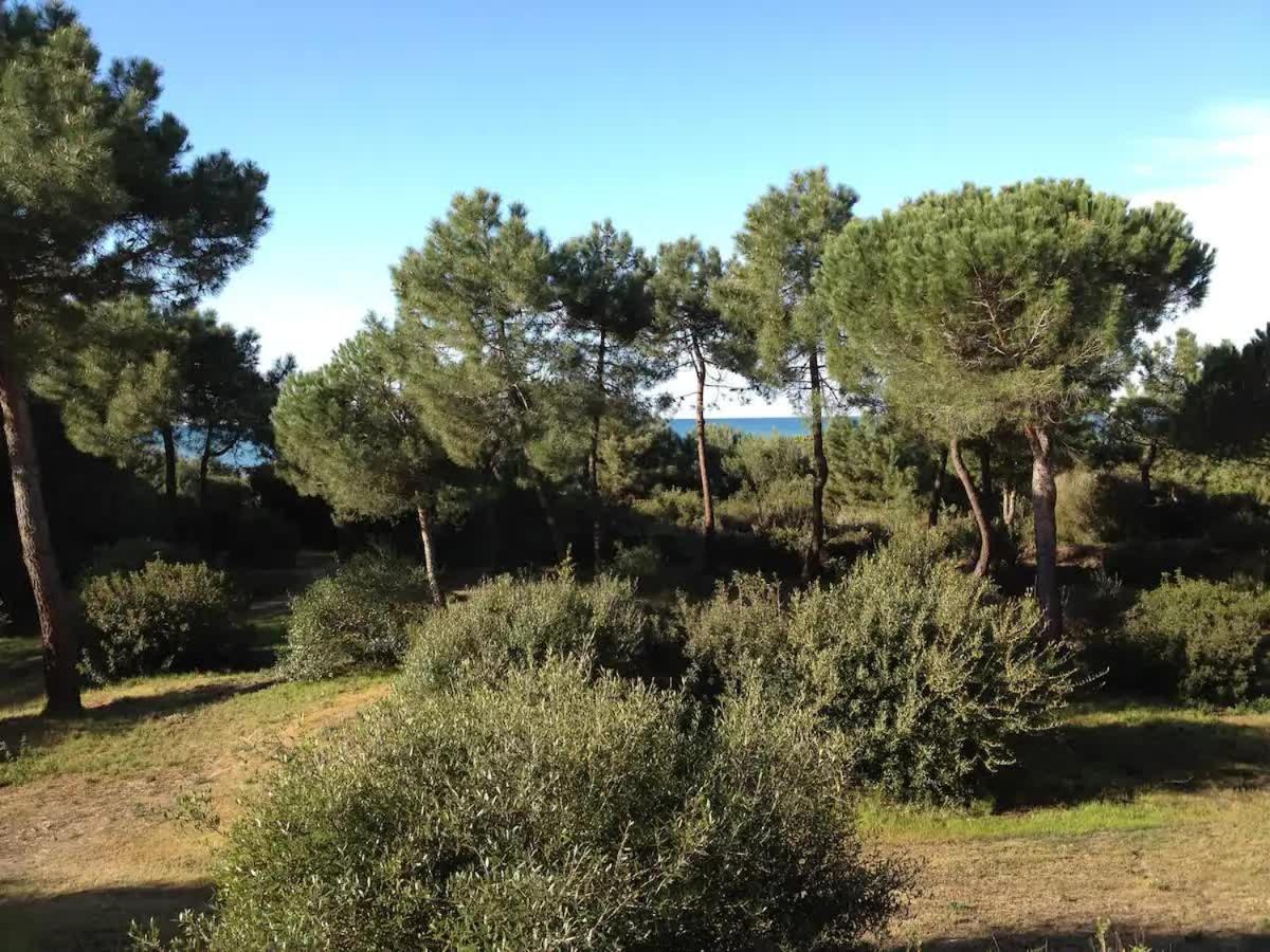 Tenuta Le Marze Castiglione della Pescaia Exterior foto